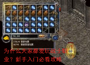 Ϊʲô��Ҷ�����սʿְҵ���������űؿ�����