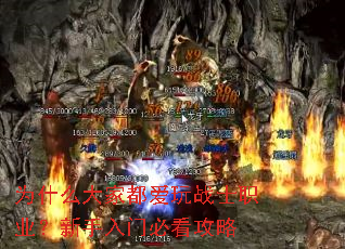 Ϊʲô��Ҷ�����սʿְҵ���������űؿ�����