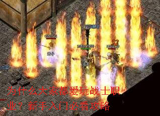 Ϊʲô��Ҷ�����սʿְҵ���������űؿ�����
