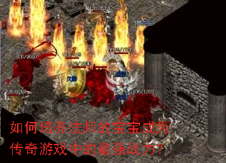 ���������ʦ�ı�����Ϊ������Ϸ�е���ǿս����