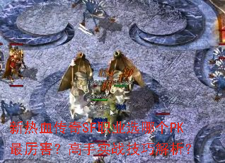 ����Ѫ����SFְҵѡ�ĸ�PK������������ʵս���ɽ�����