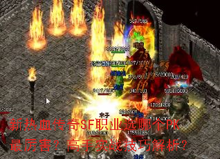 ����Ѫ����SFְҵѡ�ĸ�PK������������ʵս���ɽ�����