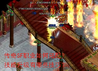 ����SFְҵ��δ��䣿������������Щ���ɣ�