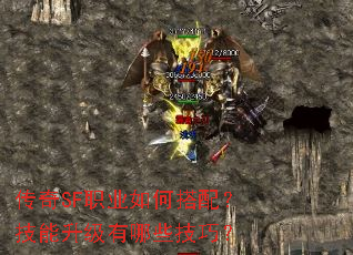 ����SFְҵ��δ��䣿������������Щ���ɣ�
