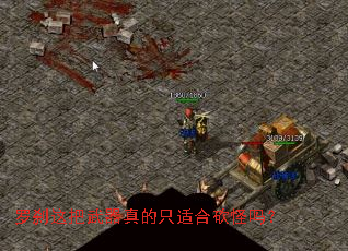 ��ɲ����������ֻ�ʺϿ�����