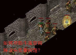��ΰ���ţħ��˾���ͷ�ʹ����⣿