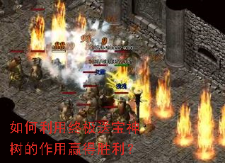 ��������ռ��ͱ�����������Ӯ��ʤ����