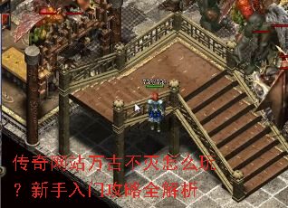 ������վ��Ų�����ô�棿�������Ź���ȫ����