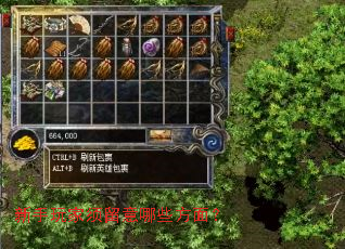 ���������������Щ���棿
