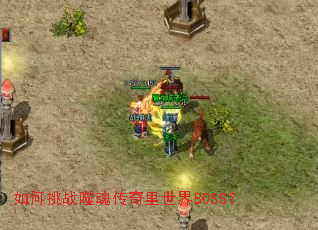�����ս�ɻ괫��������BOSS��
