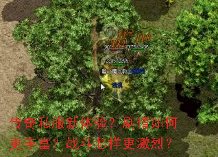 ����˽�������飿������θ��ḻ��ս�����������ң�