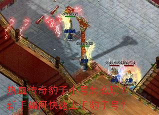 ��Ѫ���汪��С����ô�棿������ο������ֱ��Ӻţ�