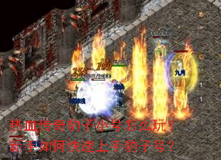 ��Ѫ���汪��С����ô�棿������ο������ֱ��Ӻţ�