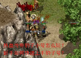 ��Ѫ���汪��С����ô�棿������ο������ֱ��Ӻţ�