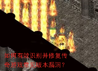 �����Чʶ���޸�������Ϸ�����汾©����