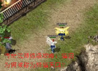 ���淨ʦ�������ԣ�����Ϊ�α���Ϊ���������