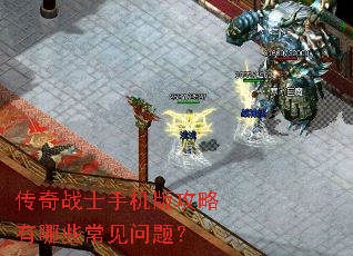 ����սʿ�ֻ��湥������Щ�������⣿