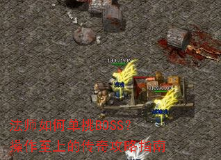 ��ʦ��ε���BOSS���������ϵĴ��湥��ָ��