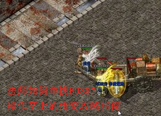 ��ʦ��ε���BOSS���������ϵĴ��湥��ָ��