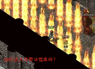 ��ν��봫���ѩɭ�֣�