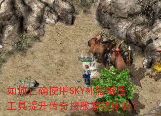 �����ȷʹ��SKY��̥��ѹ�������������ѷ���Ϸ���飿