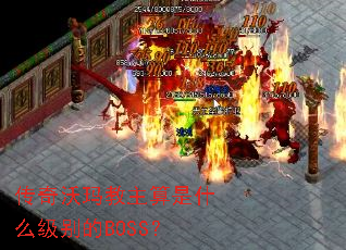���������������ʲô�����BOSS��