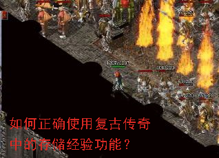 �����ȷʹ�ø��Ŵ����еĴ洢���鹦�ܣ�