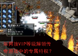 ��ΰ�VIP�ȼ�����������Ϸ�е�ר����Ȩ��