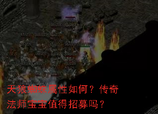 ����֩��������Σ����淨ʦ����ֵ����ļ��