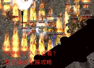 �����������űؿ�����������ȫ�⹥��