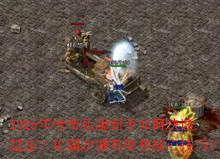 2026�괫��˽��������ο����𲽣��ư�ɳ������Щ���ļ��ɣ�