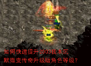 ��ο�������2003�ұ���Ĭ΢�䴫���������ɫ�ȼ���