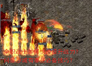 ȫְսʿ��ο�������ս�����ʶ�ɳ������Щ�ر����ɣ�