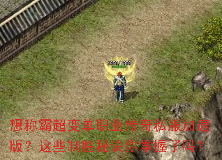 ��ưԳ��䵥ְҵ����˽�����ٰ棿��Щ��ʤ�ؾ�����������