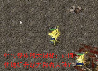 91���湥�Դ���أ���ο�������ս���ưԴ�½��