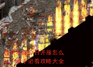 ����˽�����տ�����ô�棿���ֱؿ����Դ�ȫ
