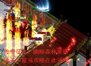 ������;���İ�ɭ�����ͨ�أ���ǿ�����ڴ˽���