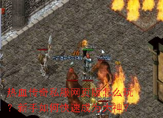 ��Ѫ����˽����ҳ����ô�棿������ο��ٳ�Ϊ����