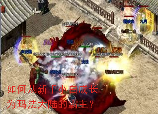 ��δ�����С�׳ɳ�Ϊ�귨��½�İ�����