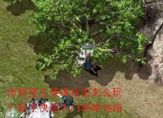 ��������Ӣ�ۺϻ���ô�棿���ֿ������Ź���ָ��