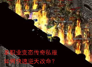 ��ְҵ��̬����˽����ο������������