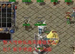ɢ�˴���˽���߱�����ô�棿���ֿ�������ָ��