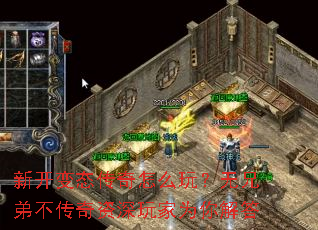 �¿���̬������ô�棿���ֵܲ������������Ϊ����