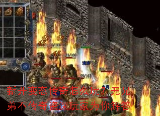 �¿���̬������ô�棿���ֵܲ������������Ϊ����