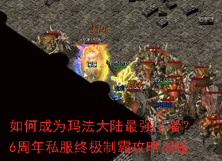 ��γ�Ϊ�귨��½��ǿ���ߣ�16����˽���ռ��ưԹ��Խ���
