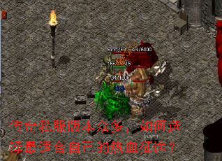 ����˽���汾�ڶ࣬���ѡ�����ʺ��Լ�����Ѫ��;��