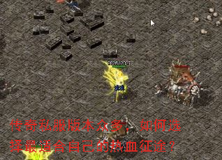 ����˽���汾�ڶ࣬���ѡ�����ʺ��Լ�����Ѫ��;��
