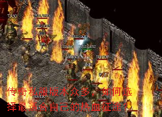 ����˽���汾�ڶ࣬���ѡ�����ʺ��Լ�����Ѫ��;��