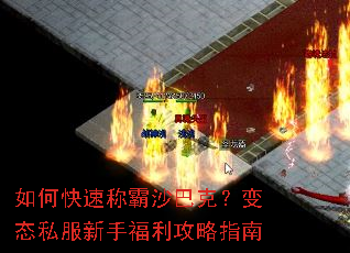 ��ο��ٳư�ɳ�Ϳˣ���̬˽�����ָ�������ָ��