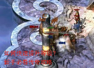 ��ο��������ȼ������ֱؿ����湥��